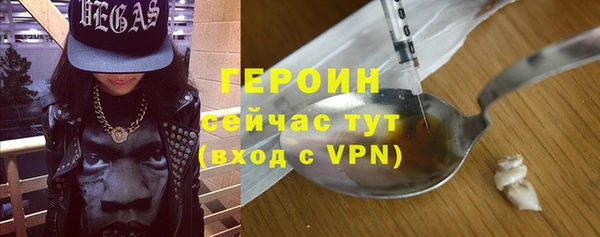 индика Бородино