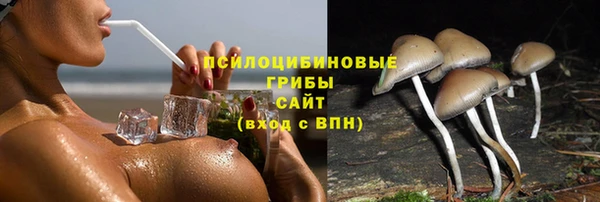 винт Бронницы
