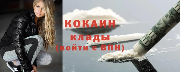 индика Бородино