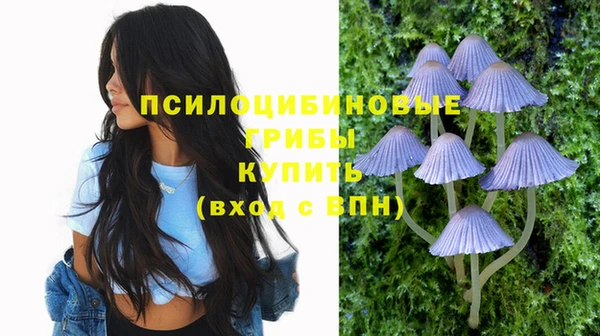 индика Бородино
