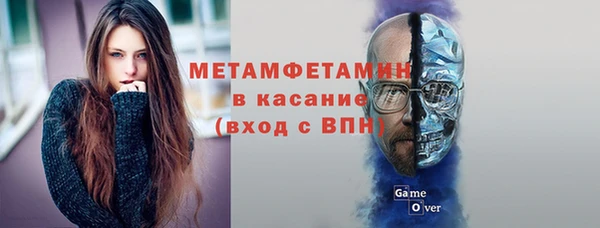 индика Бородино