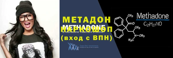 индика Бородино