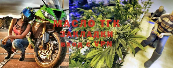 индика Бородино
