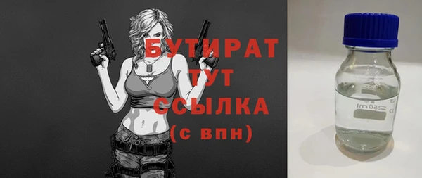 индика Бородино