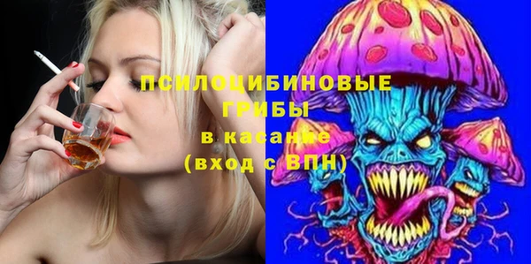 индика Бородино
