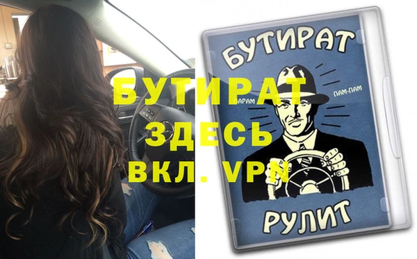 индика Бородино