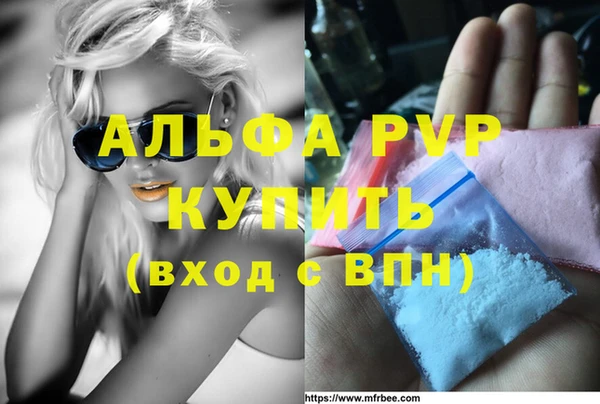 индика Бородино