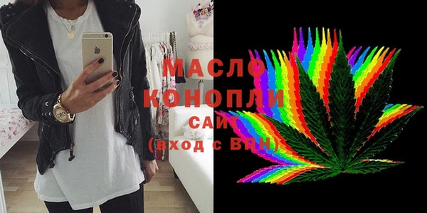индика Бородино