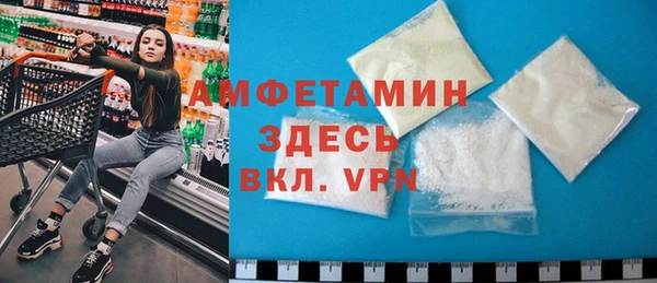 индика Бородино