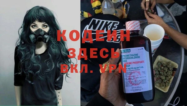 индика Бородино