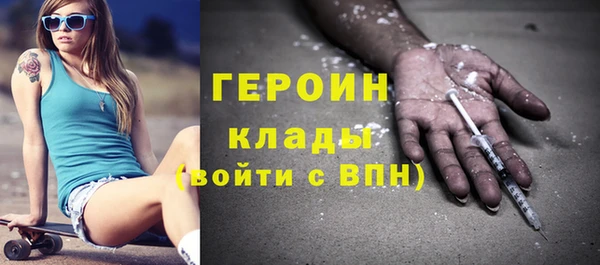 индика Бородино