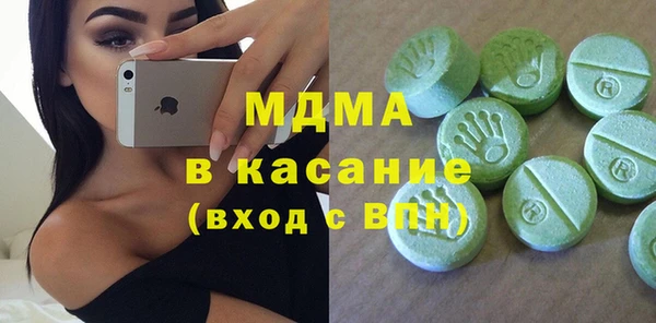 индика Бородино