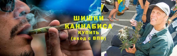 индика Бородино